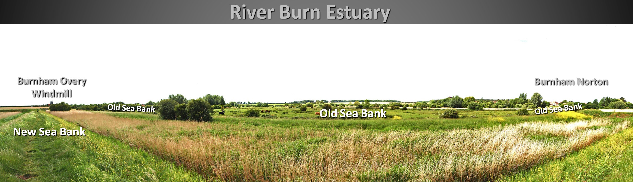 river burn